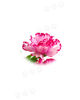 Искусственные цветы Гвоздика 3 лепестка, шелк, 95 мм