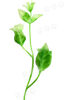 Добавка пластиковая Ветка с листиками и цветками, зеленая с белым, 120 мм