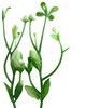 Добавка подвійна пластикова з квіткою та пелюстками, зелена з білою, 100 мм