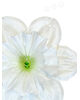 Искусственные цветы Нарцисса без тычинки, 150 мм