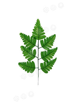 Искусственный лист папоротника, 7 листов, зеленый, 410 мм