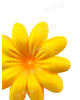 Штучні Прес квіти без тичинки Піретрум, шовк, 135 мм