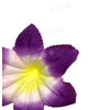 Искусственные Пресс цветы без тычинки Орхидея, 140 мм