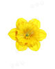 Искусственные цветы Нарцисса без тычинки, шелк, 125 мм