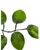 Искусственный Лист под Розу шестерной, зеленый, 170 мм
