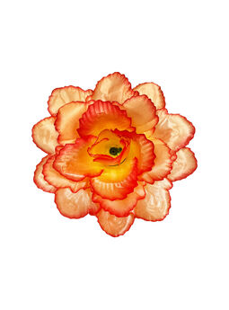 Штучні квіти Троянда відкрита "павлин", атлас, 150 мм