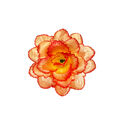 Штучні квіти Троянда відкрита "павлин", атлас, 150 мм