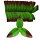 Штучний лист підставка потрійний, зелений з коричневим краєм, 135 мм