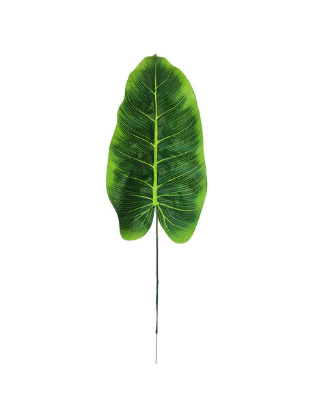 Лист Филодендрона на ножке VIP, зеленый со светлым, высота 450 мм