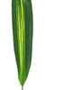 Тропический лист Перо VIP, текстильный, зеленый с желтым, 620x90 мм