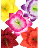 Искусственные Пресс цветы без тычинки Звездочка, шелк, микс, 125 мм