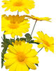 Искусственные цветы Букет Ромашки, белый и желтый, 7 голов, 500 мм
