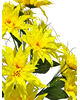 Штучні квіти Букет Крокуса, 18 голів, 700 мм