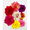 Искусственные цветы Розы с листом, шелк, 8 расцветок, 150 мм