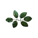 Искусственный лист под розу шестерной, темно-зеленый, 190 мм