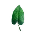 Искусственный лист Филодендрона, текстиль, зеленый, 190 мм