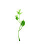Добавка пластиковая Ветка с листиками и цветками, зеленая с белым, 120 мм