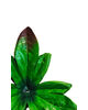 Штучний лист підставка потрійний півонія, зелений з коричневим, 190 мм