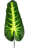 Лист Філодендрону на ніжці VIP, зелений з жовтим, висота 440 мм