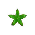 Искусственный лист подставка "Звезда", зеленый с коричневым кантом, 110 мм