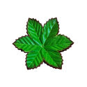 Штучний лист підставка круглий, 6 пелюсток, зелений з коричневим кантом, 150 мм