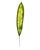 Тропічний лист Роршах VIP, текстильний, зелений з жовтим, 620x90 мм