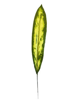 Тропический лист Роршах, текстильный, зеленый с желтым, 620x90 мм