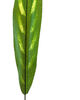 Тропический лист Кисточки, текстильный, зеленый с желтым, 610x90 мм