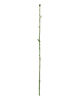 Одиночная ножка под розу, без листа, 670 мм
