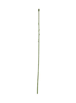 Одиночная ножка под розу, без листа, 580 мм