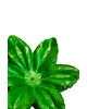 Штучний лист підставка Лілія хвиляста, зелений, 125 мм