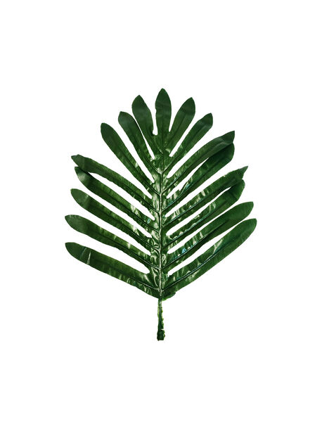 Лист Пальми перистий текстильний, темно-зелений, 300x230 мм
