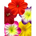 Искусственные Пресс цветы Петунии с тычинкой, микс, 135 мм