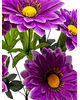 Искусственные цветы Букет китайской Астры, 7 голов, 500 мм