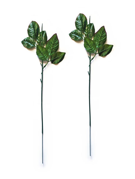 Ножка одиночная с 2 тройными листьями, зелены с коричневым кантом, 450 мм