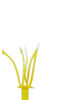 Тичинка для квітів, жовта з білим, 35 мм