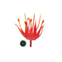 Тычинка для цветов "Огонь", красная, высота 75 мм, диаметр 40 мм