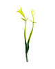 Добавка подвійна Травка з квіткою, пластик, зелений з жовтим, 160 мм