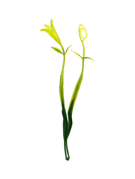 Добавка подвійна Травка з квіткою, пластик, зелений з жовтим, 160 мм