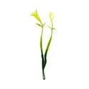 Добавка двойная Травка с цветком, пластик, зеленый с желтым, 160 мм