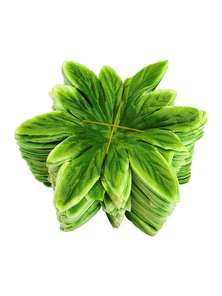 Лист подставка Звёздочка, зеленый со светлыми краями, 170 мм