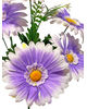 Искусственные цветы Букет Герберы, 6 головок, 420 мм
