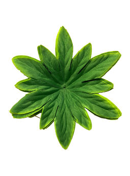 Лист підставка Зірочка, зелений зі світлими краями, 170 мм