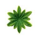 Лист подставка Звёздочка, зеленый со светлыми краями, 170 мм