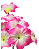 Искусственные цветы Букет Петунии "Запорожье", 9 голов, 350 мм