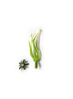 Тычинка для цветов, зеленая с белым, 6 нитей, 55 мм