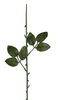 Одиночна ніжка з двома потрійними листями троянди, 500 мм