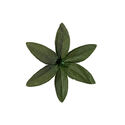Штучний лист під лілію та орхідею на ніжку, 6 пелюсток, 140 мм