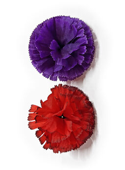Штучні квіти Гвоздики, червоний кант та фіолетовий, шовк, 90 мм