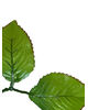 Искусственный лист на ножку, 3 листа, зубчатый, зеленый с коричневым кантом, 190 мм